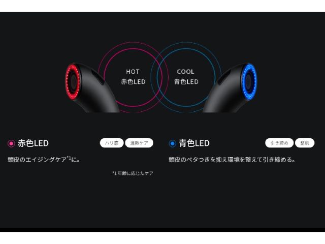 BRIGHTE SHOWER DRYER シャワードライヤー 次世代型ミストドライヤー BRT-SD173 ブラック