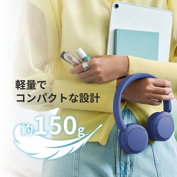 ソニー SONY ワイヤレスステレオヘッドセット WH-CH530(G) ミント