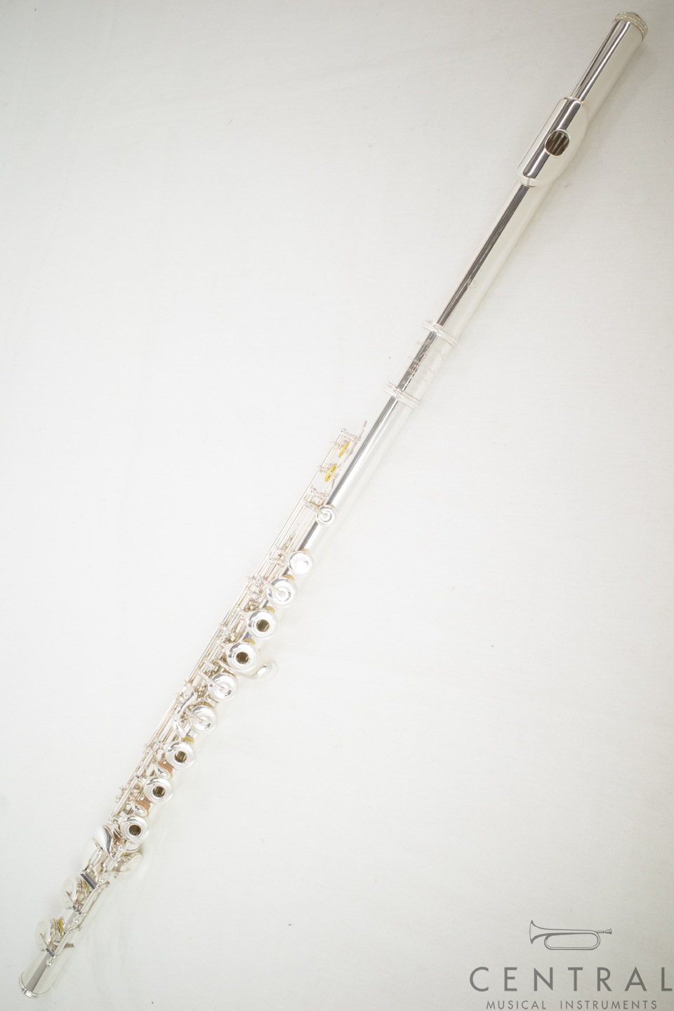 �ե롼�� ���ޥ� DSRCE (��󥰥���/E�ᥫ�˥����դ�/����饤��)