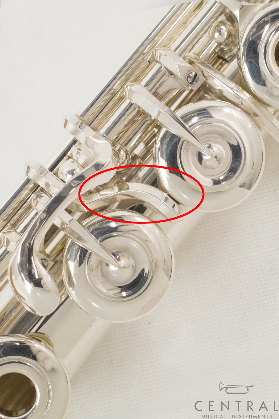 �ե롼�� ���ޥ� DSRCE (��󥰥���/E�ᥫ�˥����դ�/����饤��)