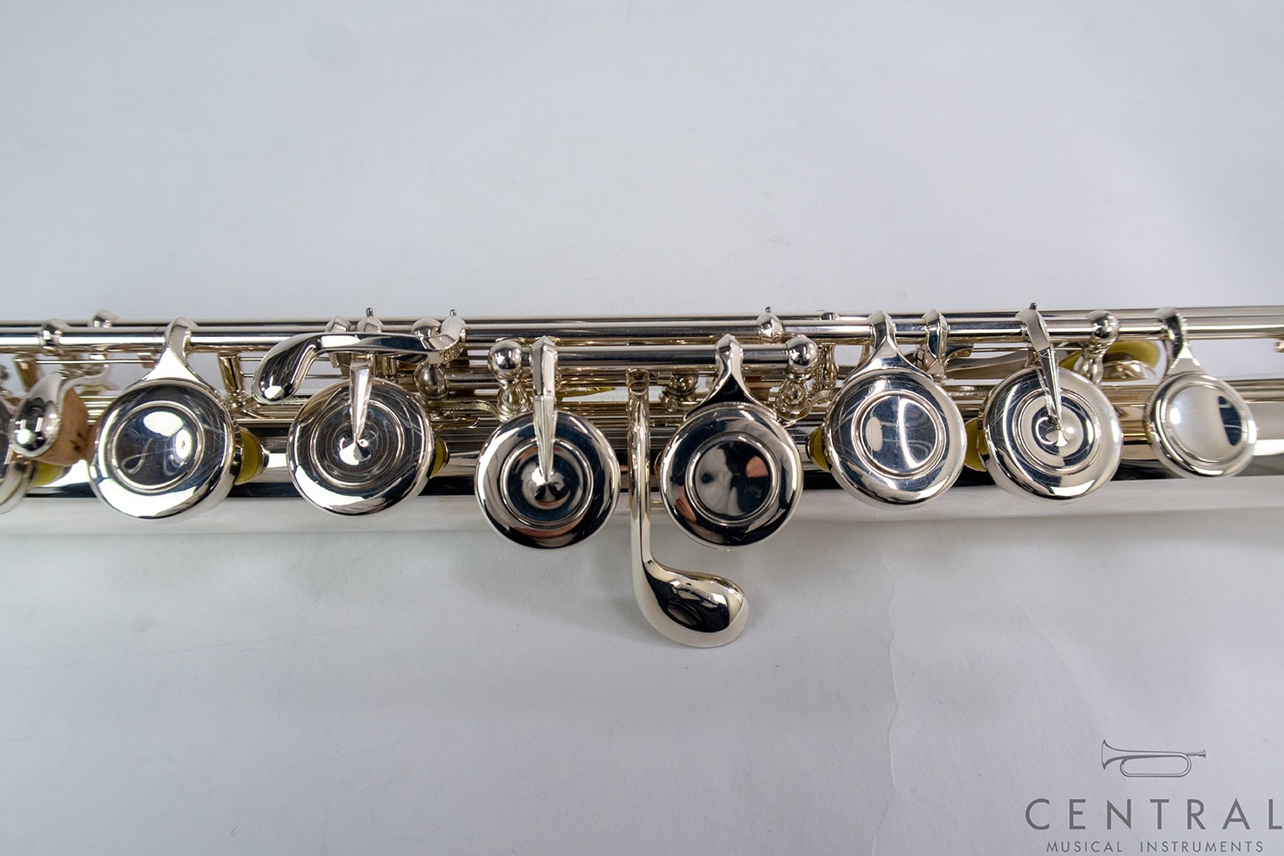 ��� �ե롼�� ���󥭥祦 �����塼��PAC-NEL