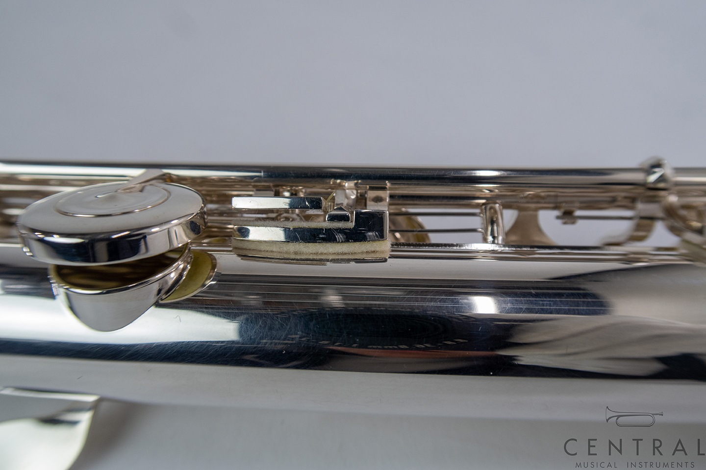 ��� �ե롼�� ���󥭥祦 �����塼��PAC-NEL