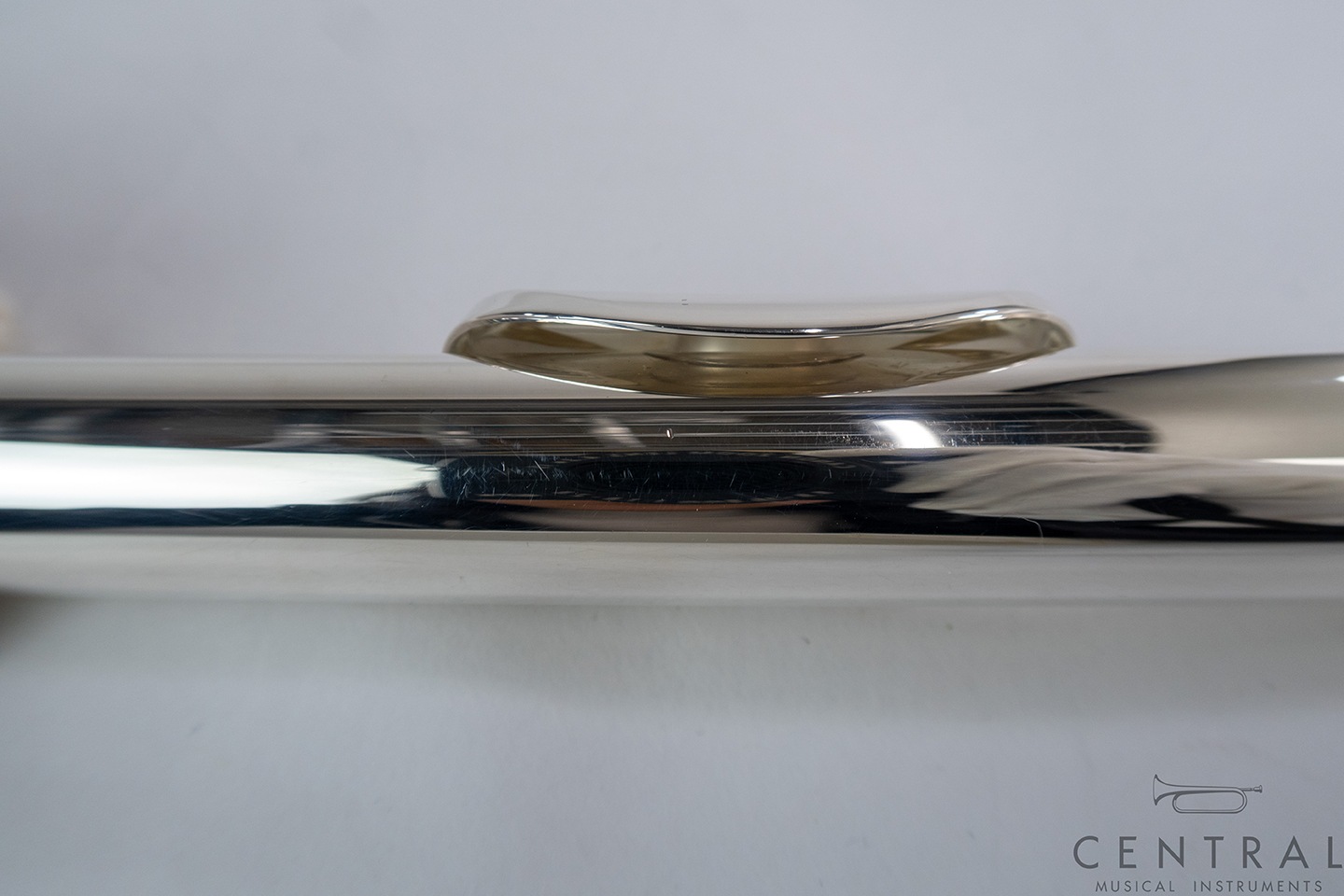 ��� �ե롼�� ���󥭥祦 �����塼��PAC-NEL