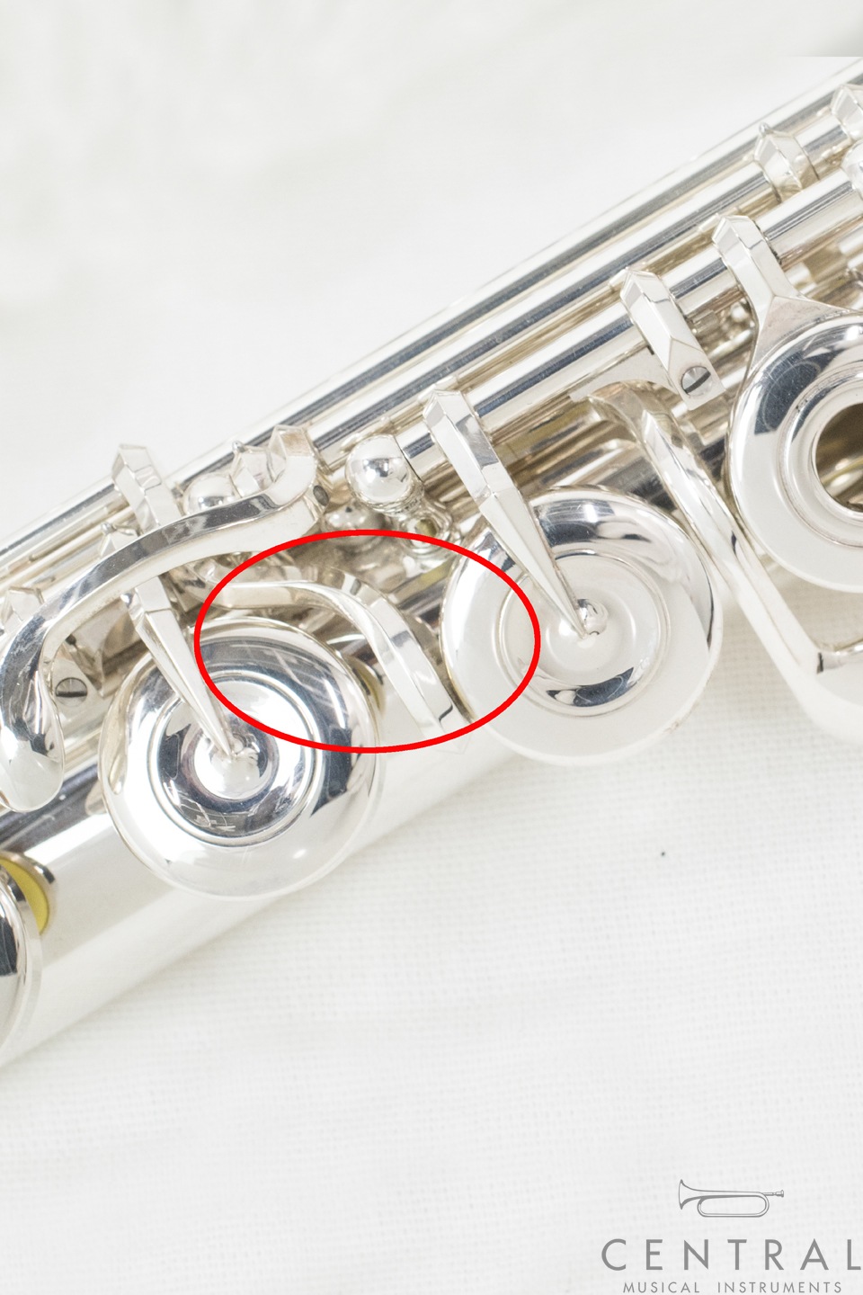 �ե롼�� ���ޥ� DS��ǥ�(E�ᥫ�˥����դ�/���ե��å�)