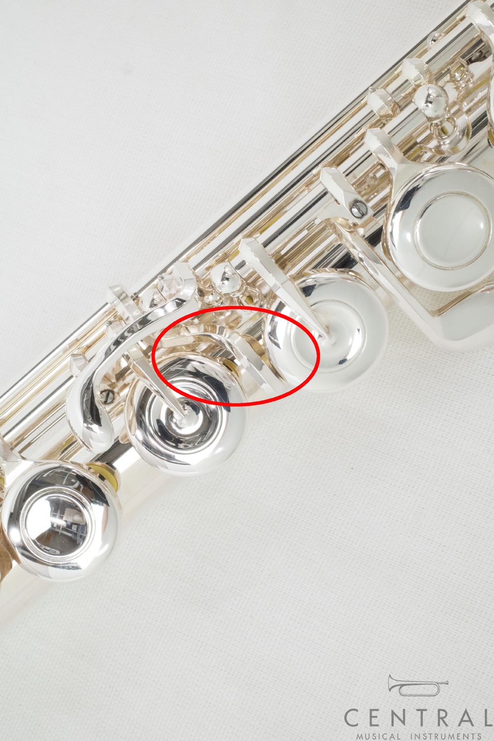 �ե롼�� ���ޥ� GX��ǥ�(E�ᥫ�˥����դ�)