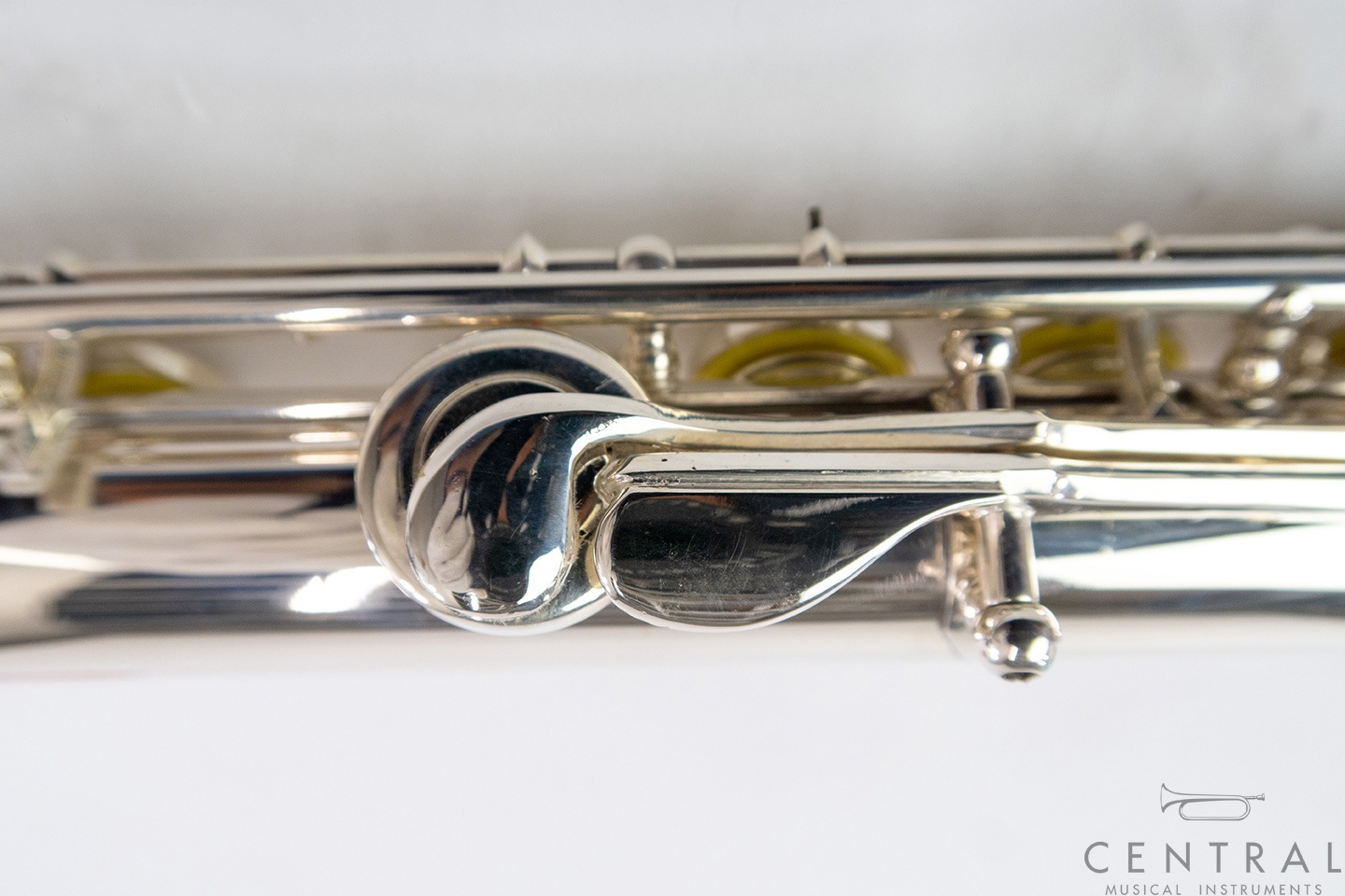 ��� �ե롼�� ���ޥ� �����������CC