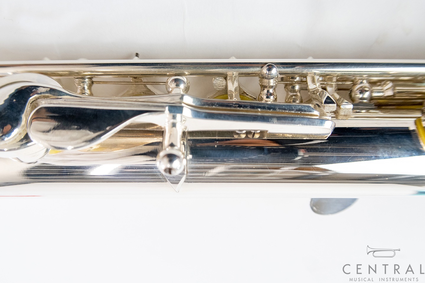 ��� �ե롼�� ���ޥ� �����������CC