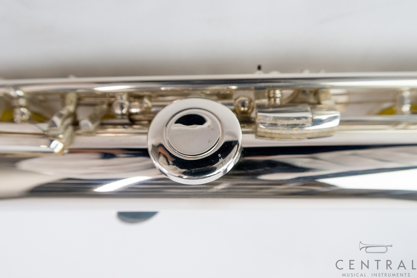 ��� �ե롼�� ���ޥ� �����������CC