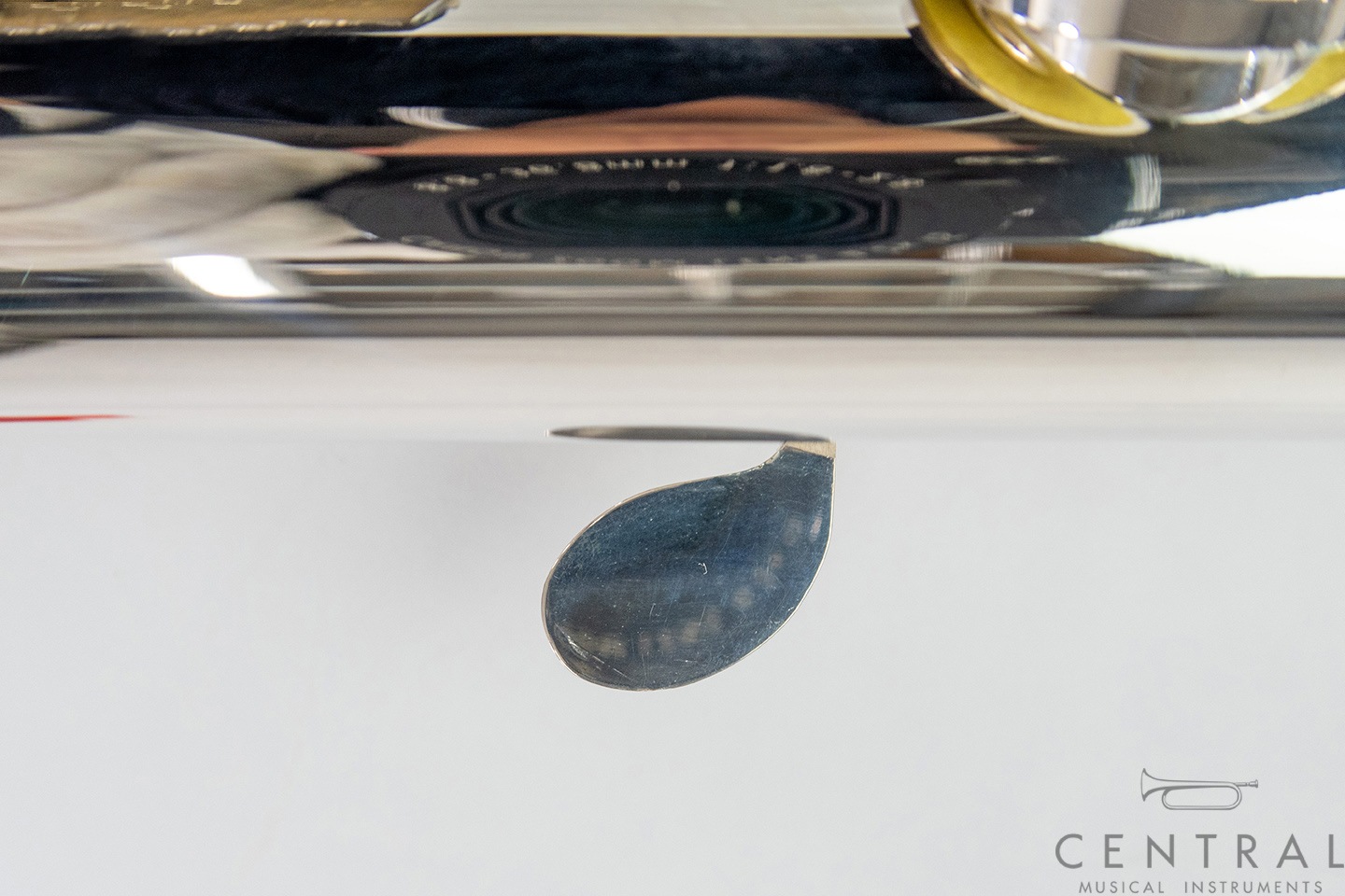 ��� �ե롼�� ���ޥ� �����������CC