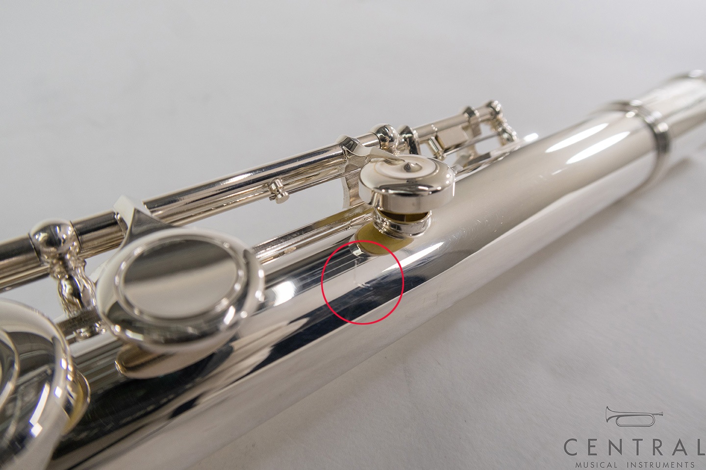 ��� �ե롼�� �ѡ��� PF-675��Dolce
