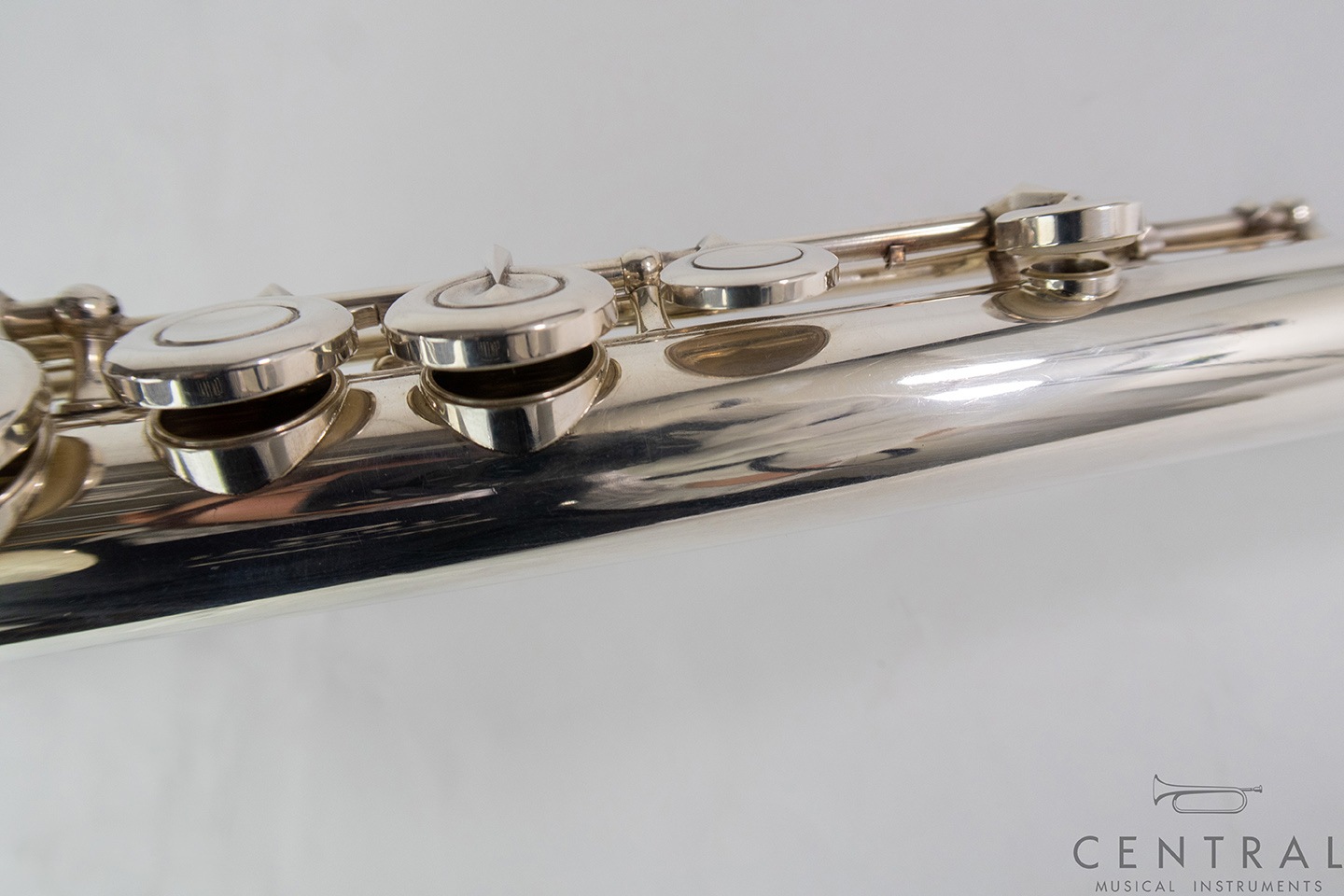 ��� �ե롼�� �С������� ������