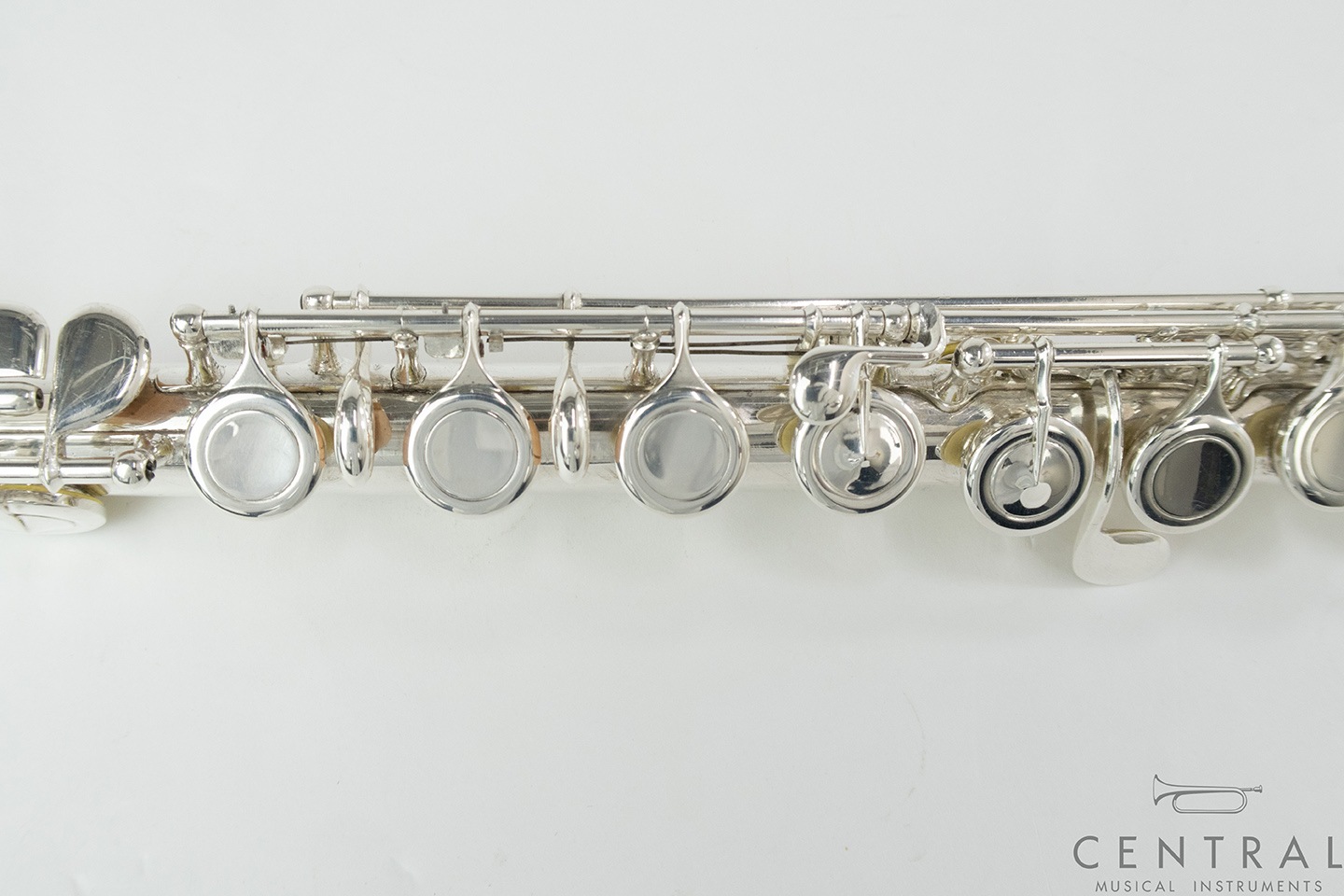 ��� �ե롼�� �롽���� ����� ���� ƹ��­�����η� �ʰ����ʡ�