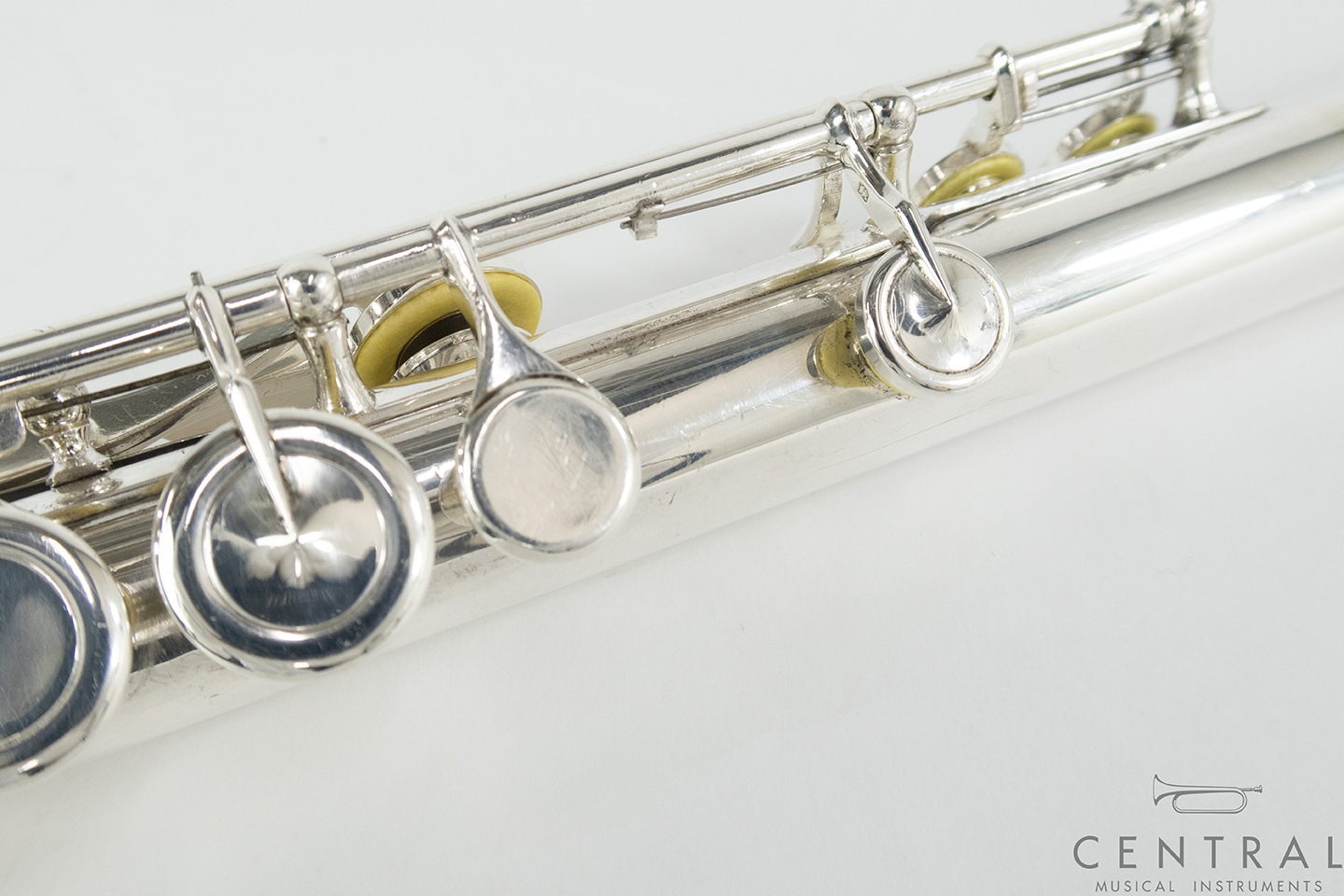 ��� �ե롼�� �롽���� ����� ���� ƹ��­�����η� �ʰ����ʡ�