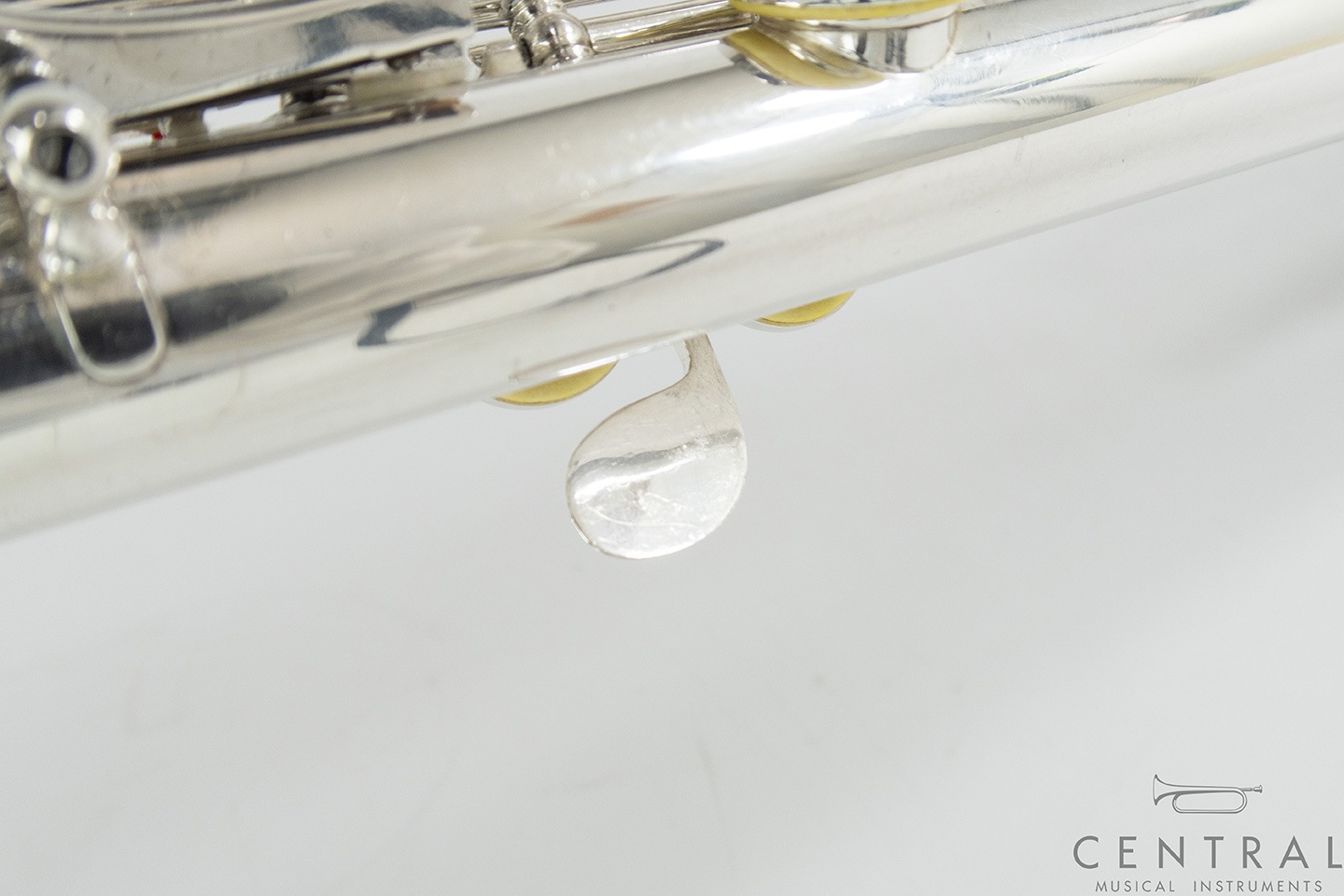 ��� �ե롼�� �롽���� ����� ���� ƹ��­�����η� �ʰ����ʡ�