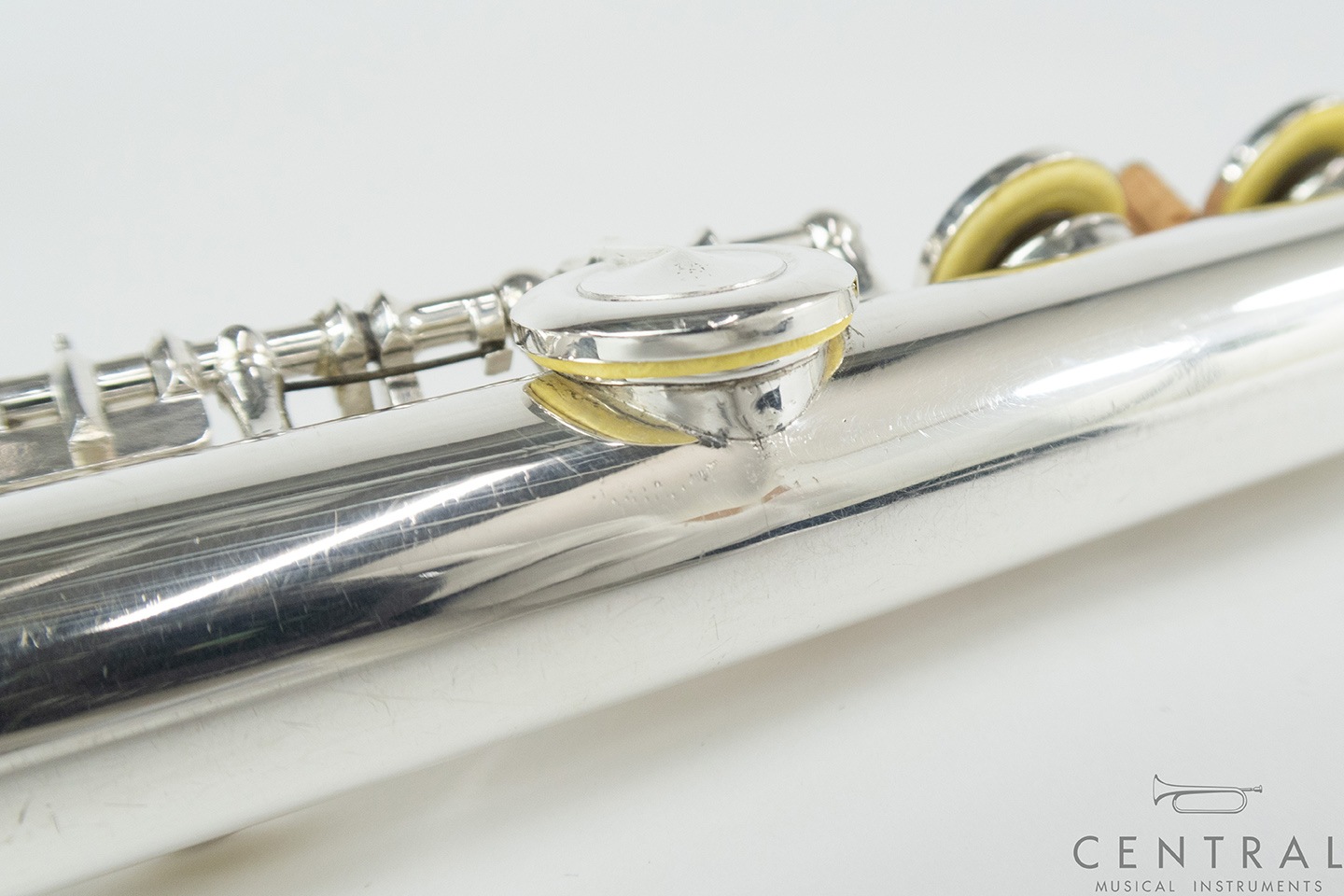 ��� �ե롼�� �롽���� ����� ���� ƹ��­�����η� �ʰ����ʡ�