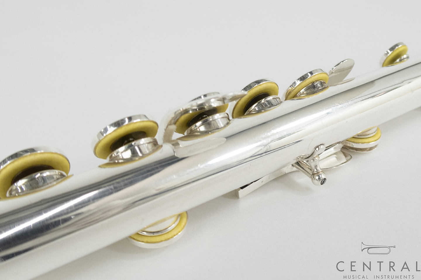 ��� �ե롼�� �롽���� ����� ���� ƹ��­�����η� �ʰ����ʡ�