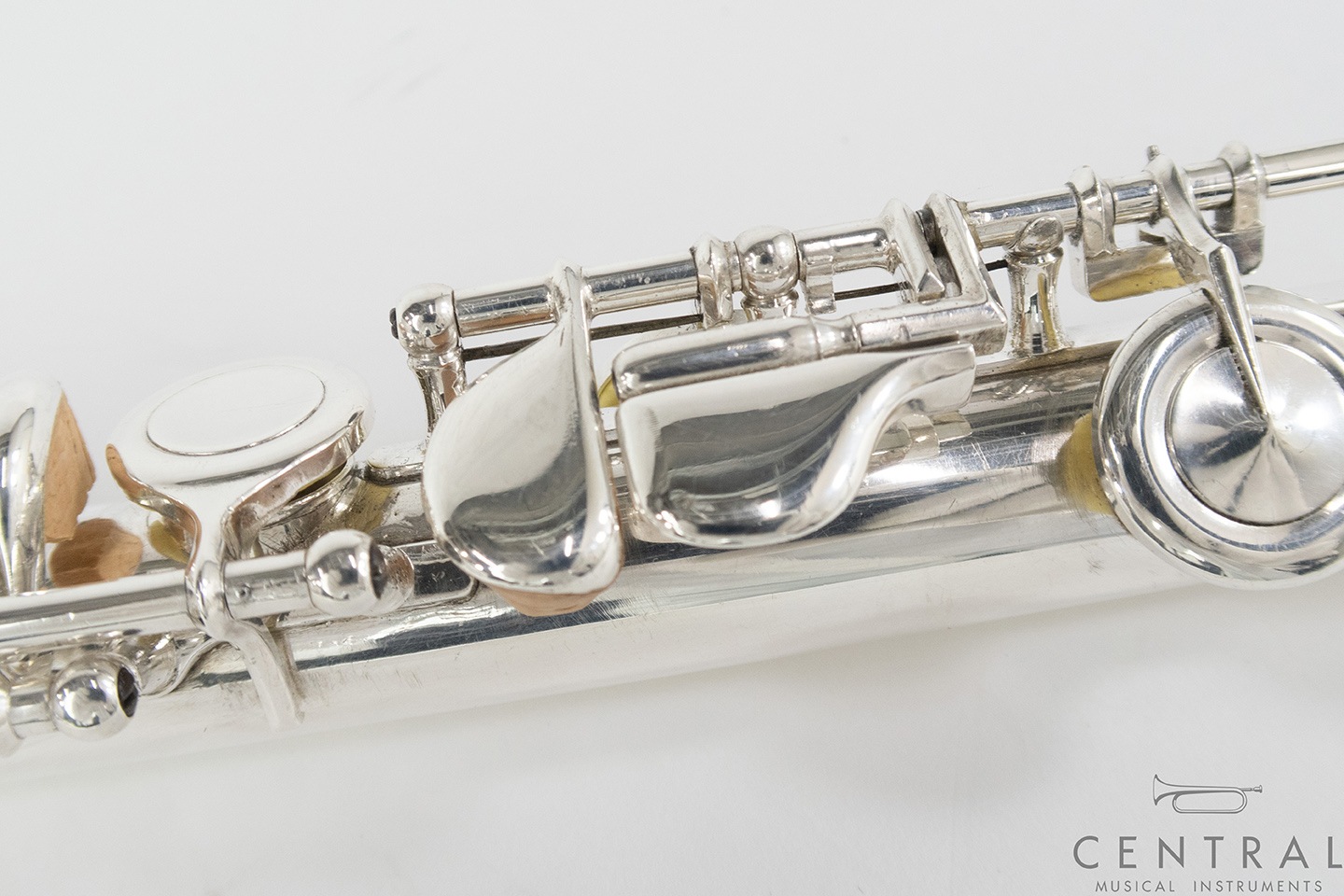 ��� �ե롼�� �롽���� ����� ���� ƹ��­�����η� �ʰ����ʡ�