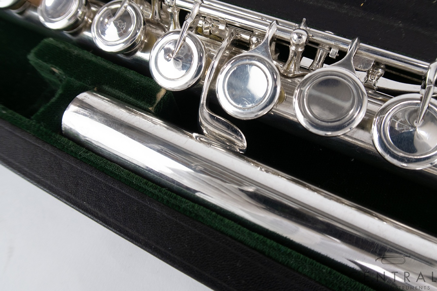 ��� �ե롼�� �롽���� ����� ���� ƹ��­�����η� �ʰ����ʡ�