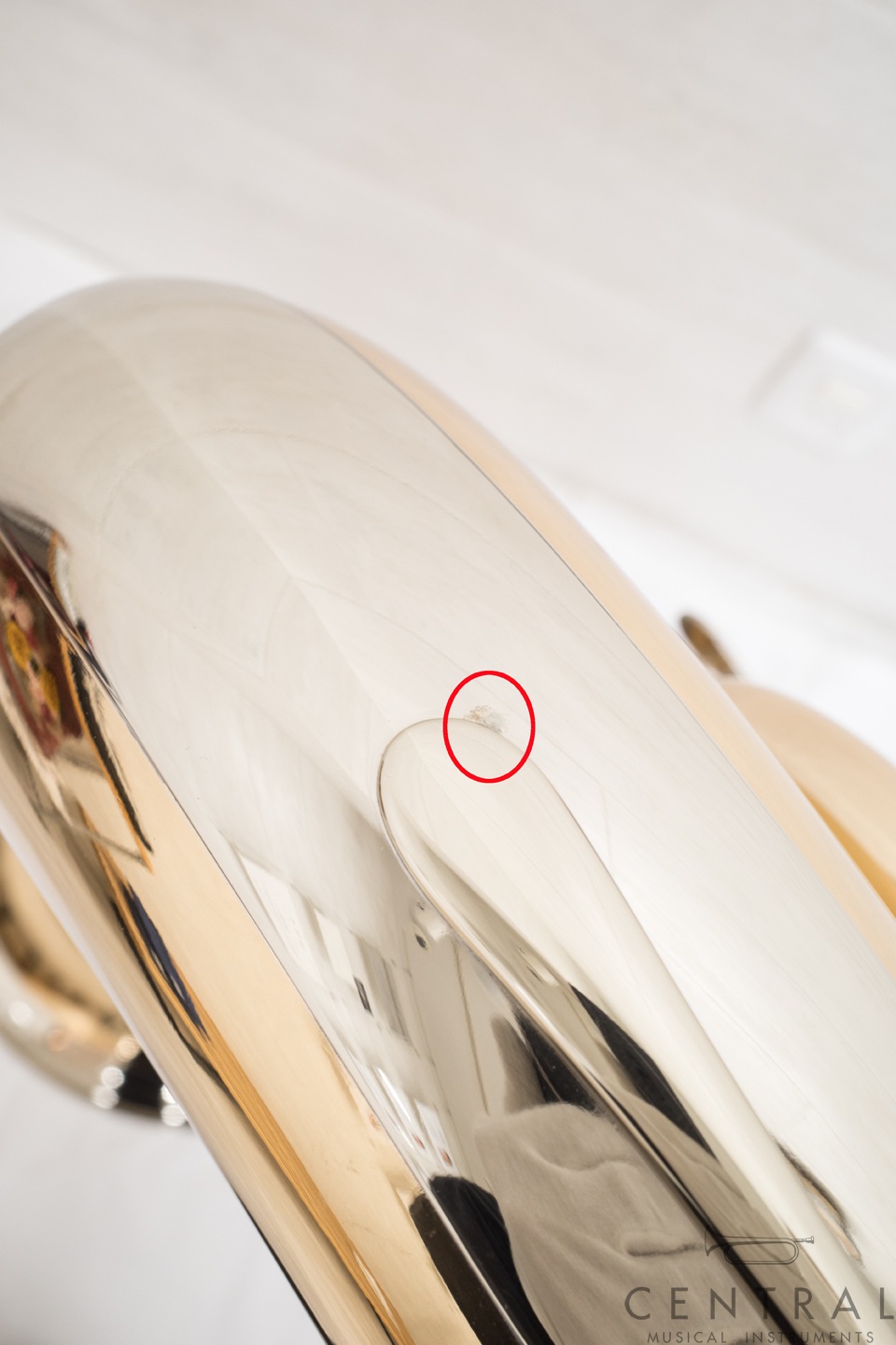 ȥå F塼 ߥե F381B-GB  Belcanto Solo