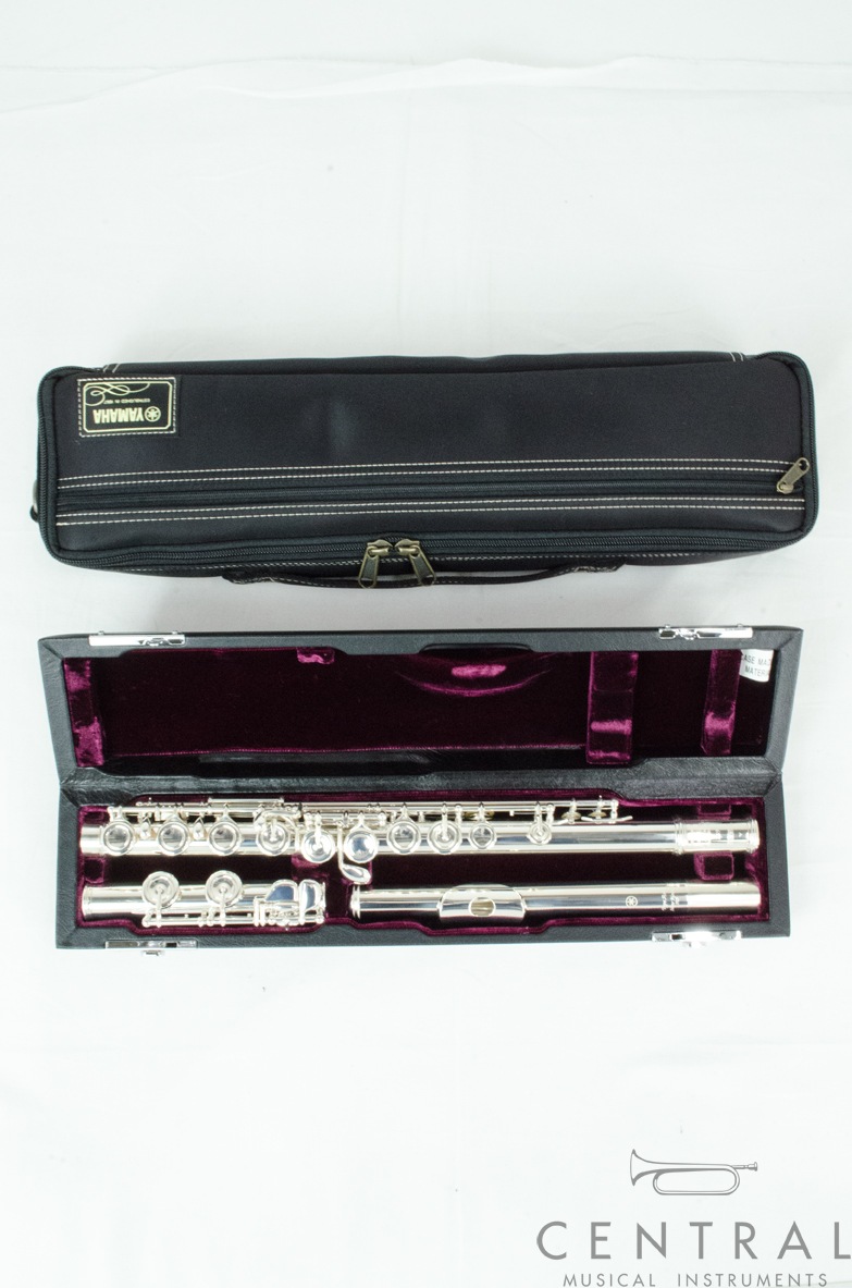 �ե롼�� ��ޥ� YFL-617