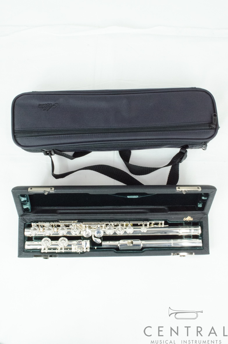 �ե롼�� ���륿�� A10E