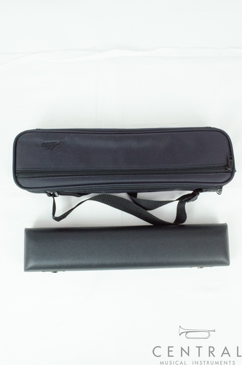 �ե롼�� ���륿�� A10E