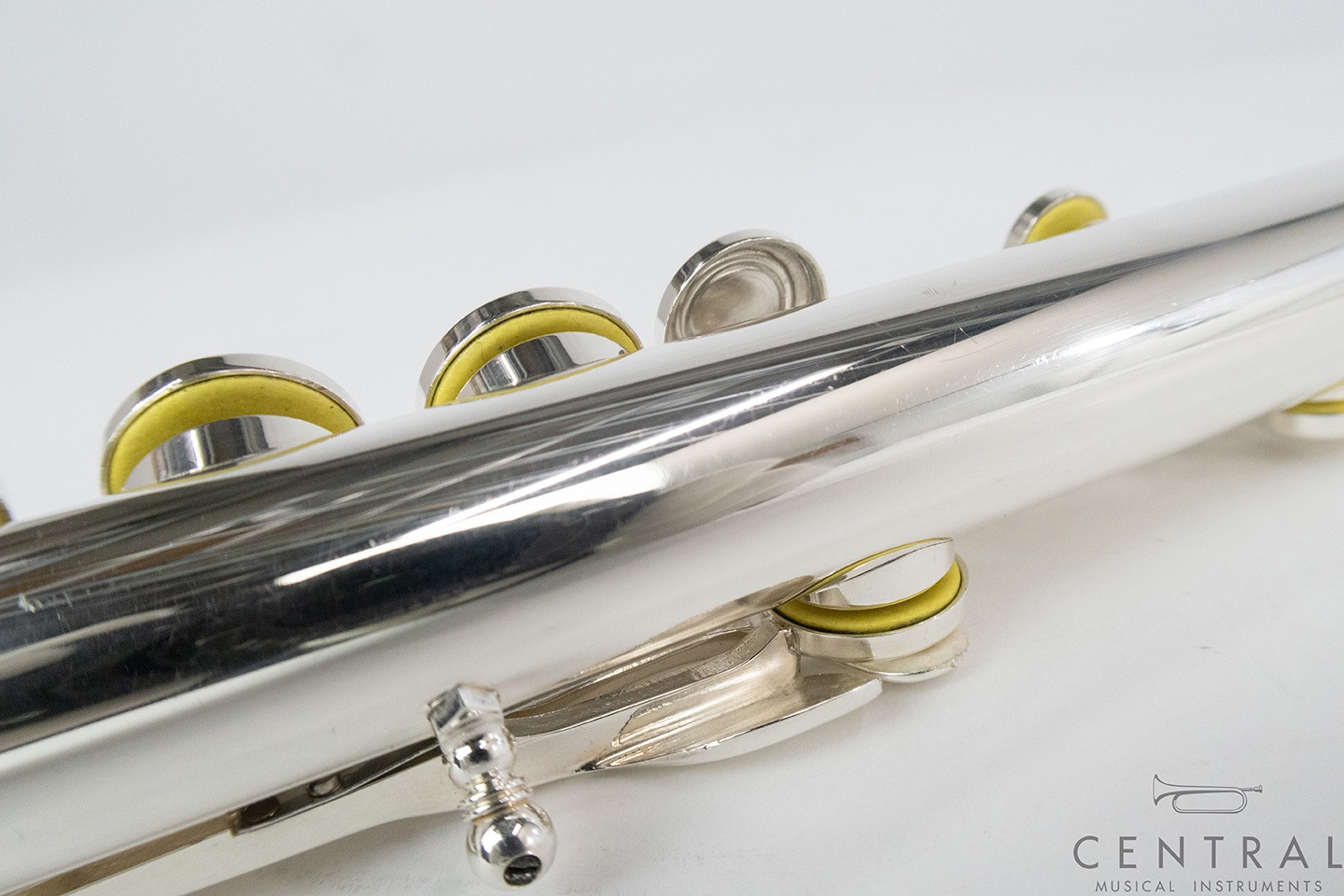 ��� �ե롼�� ��ޥ� YFL-83