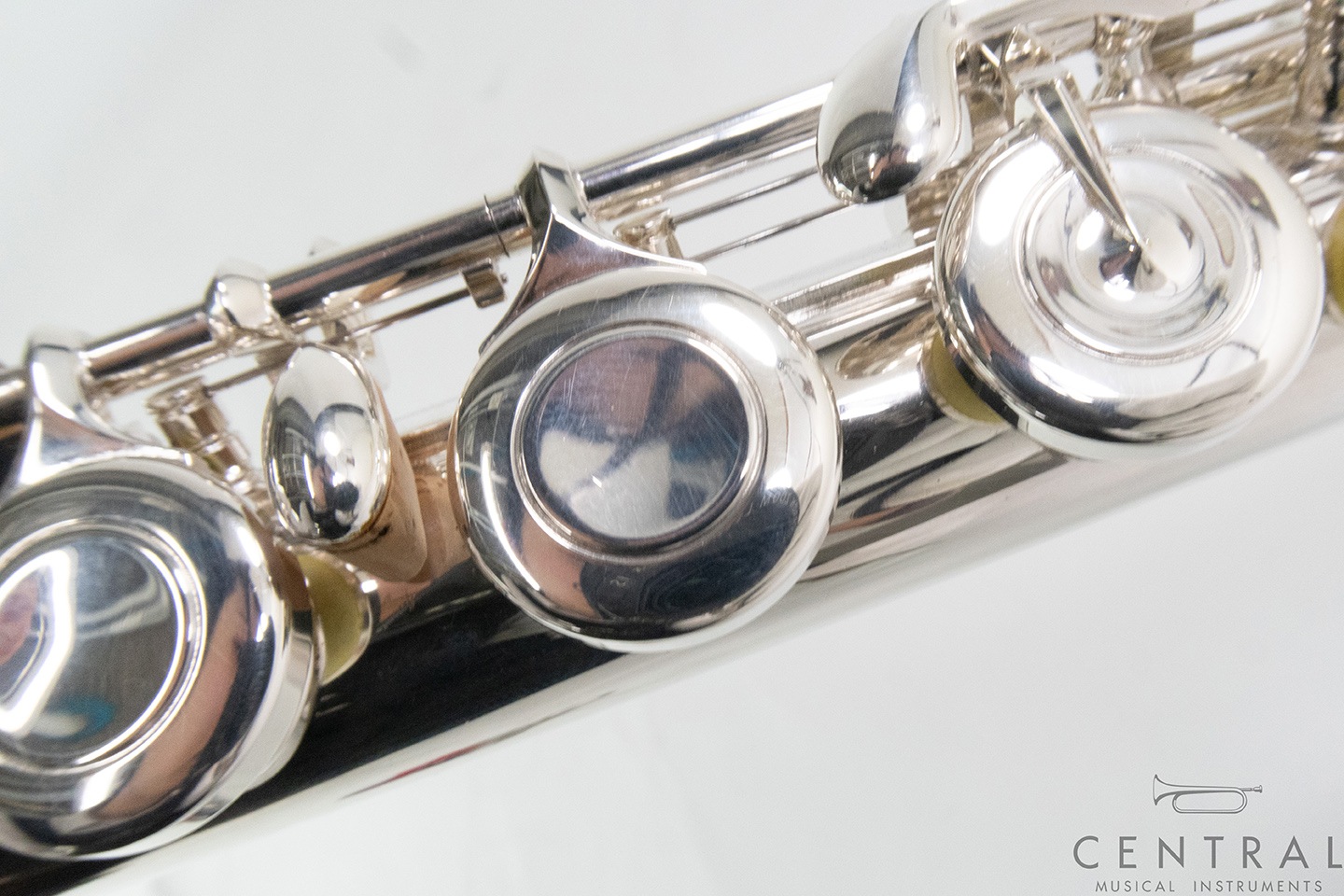 ��� �ե롼�� ���󥭥祦 �����塼��PAC-NEL