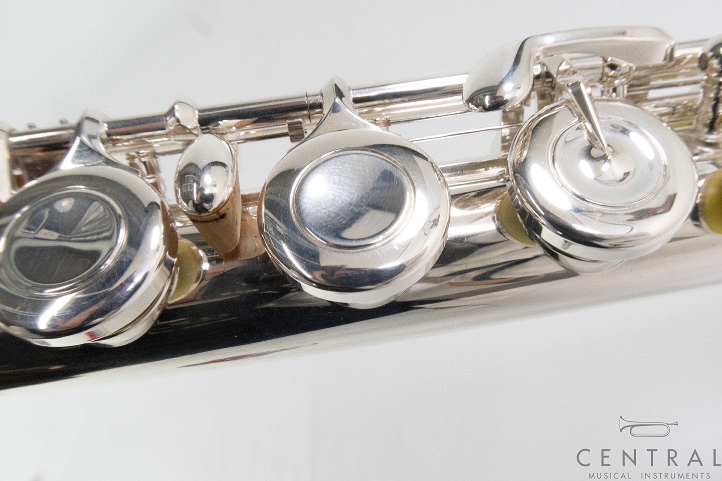 ��� �ե롼�� ���󥭥祦 �����塼��PAC-NEL