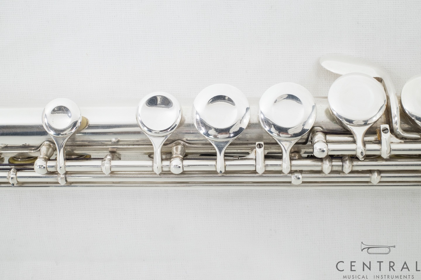 ��� �ե롼�� A.R.�ϥ�ߥå� ������  (������)