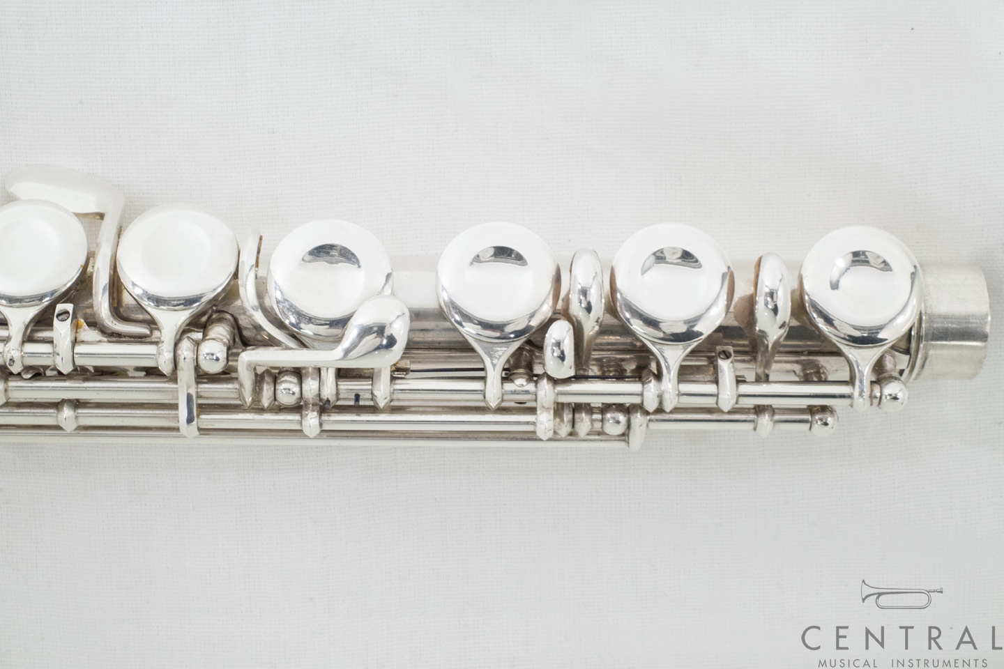 ��� �ե롼�� A.R.�ϥ�ߥå� ������  (������)