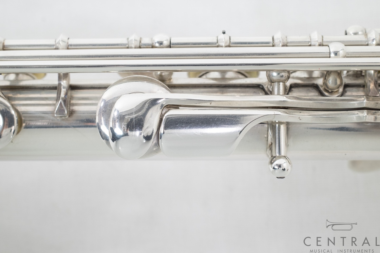 ��� �ե롼�� A.R.�ϥ�ߥå� ������  (������)