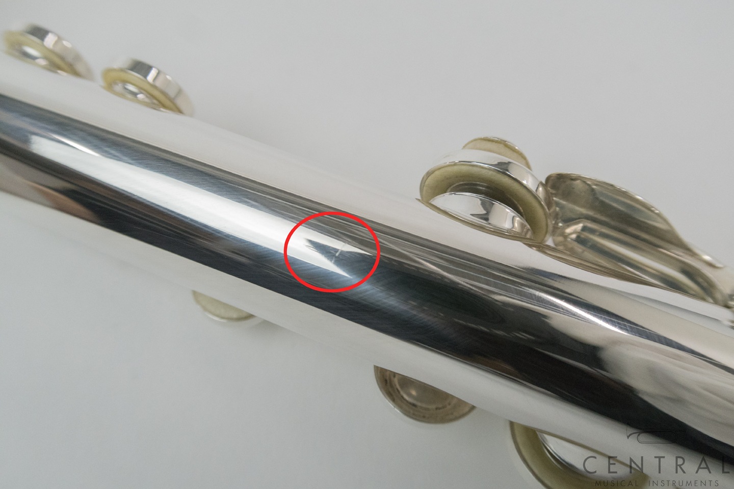 ��� �ե롼�� V.Q�ѥ����� ������ ���ޡ�������ǥ�