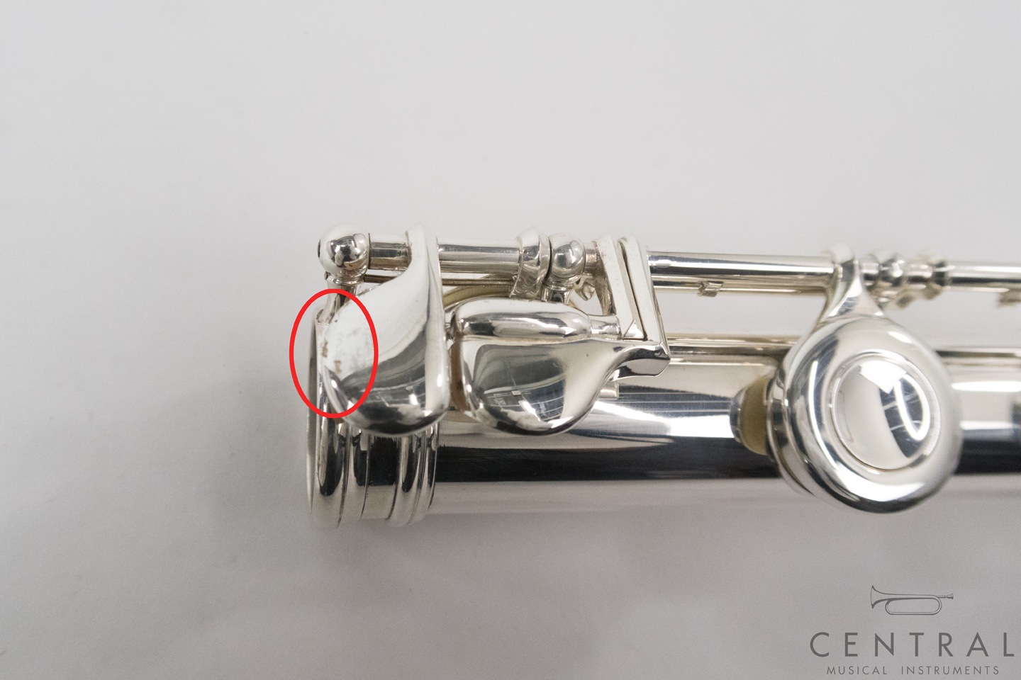 ��� �ե롼�� V.Q�ѥ����� ������ ���ޡ�������ǥ�