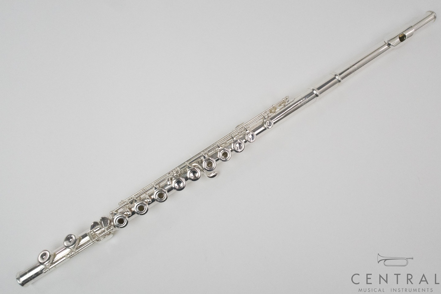 ��� �ե롼�� V.Q�ѥ����� ������ ���ޡ�������ǥ�