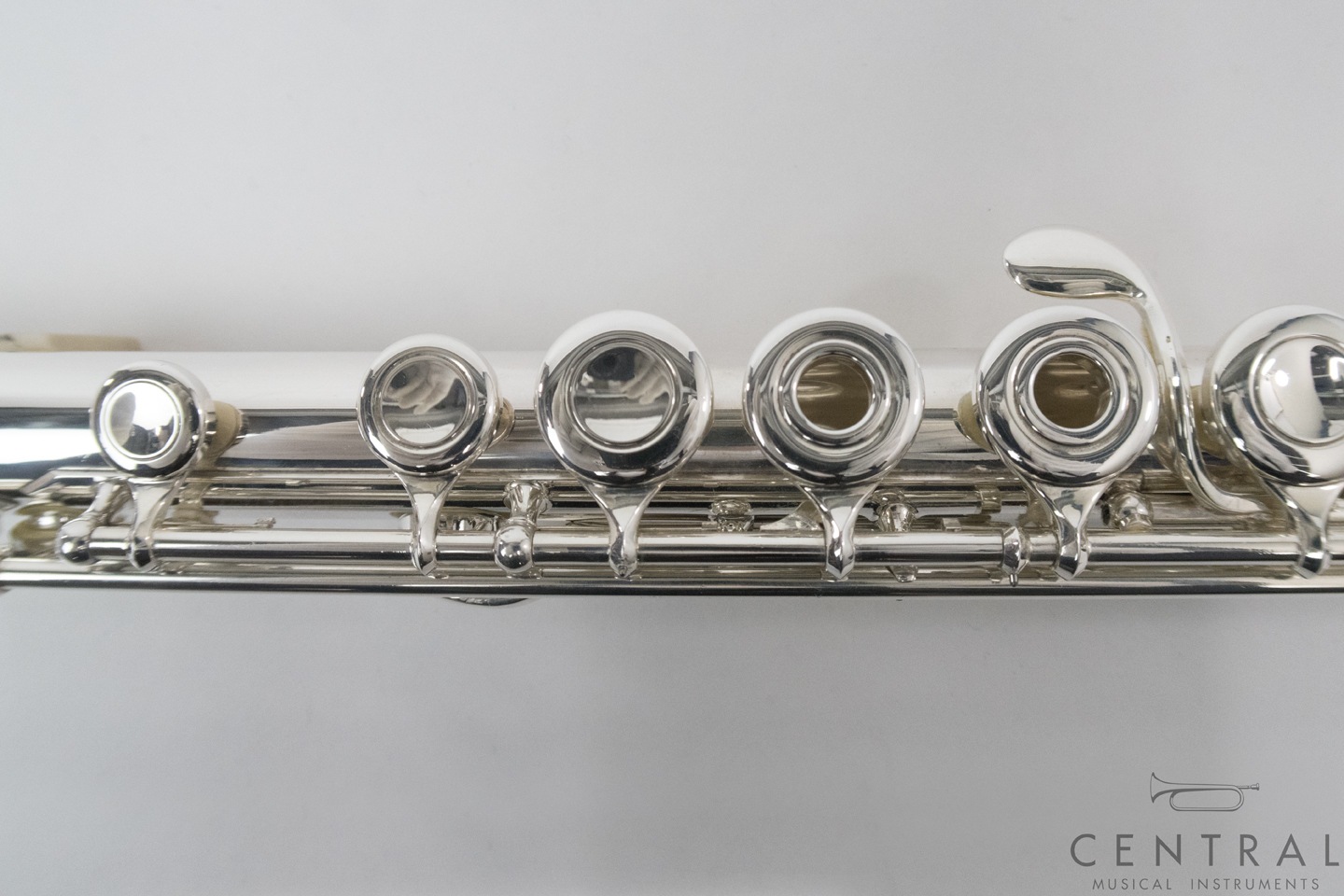 ��� �ե롼�� V.Q�ѥ����� ������ ���ޡ�������ǥ�