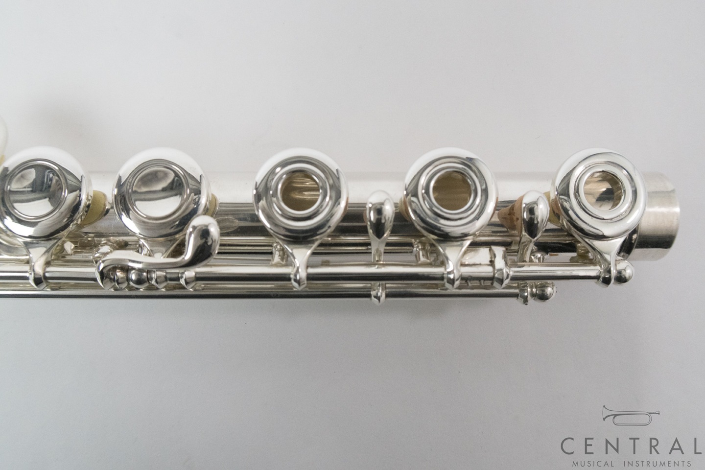 ��� �ե롼�� V.Q�ѥ����� ������ ���ޡ�������ǥ�