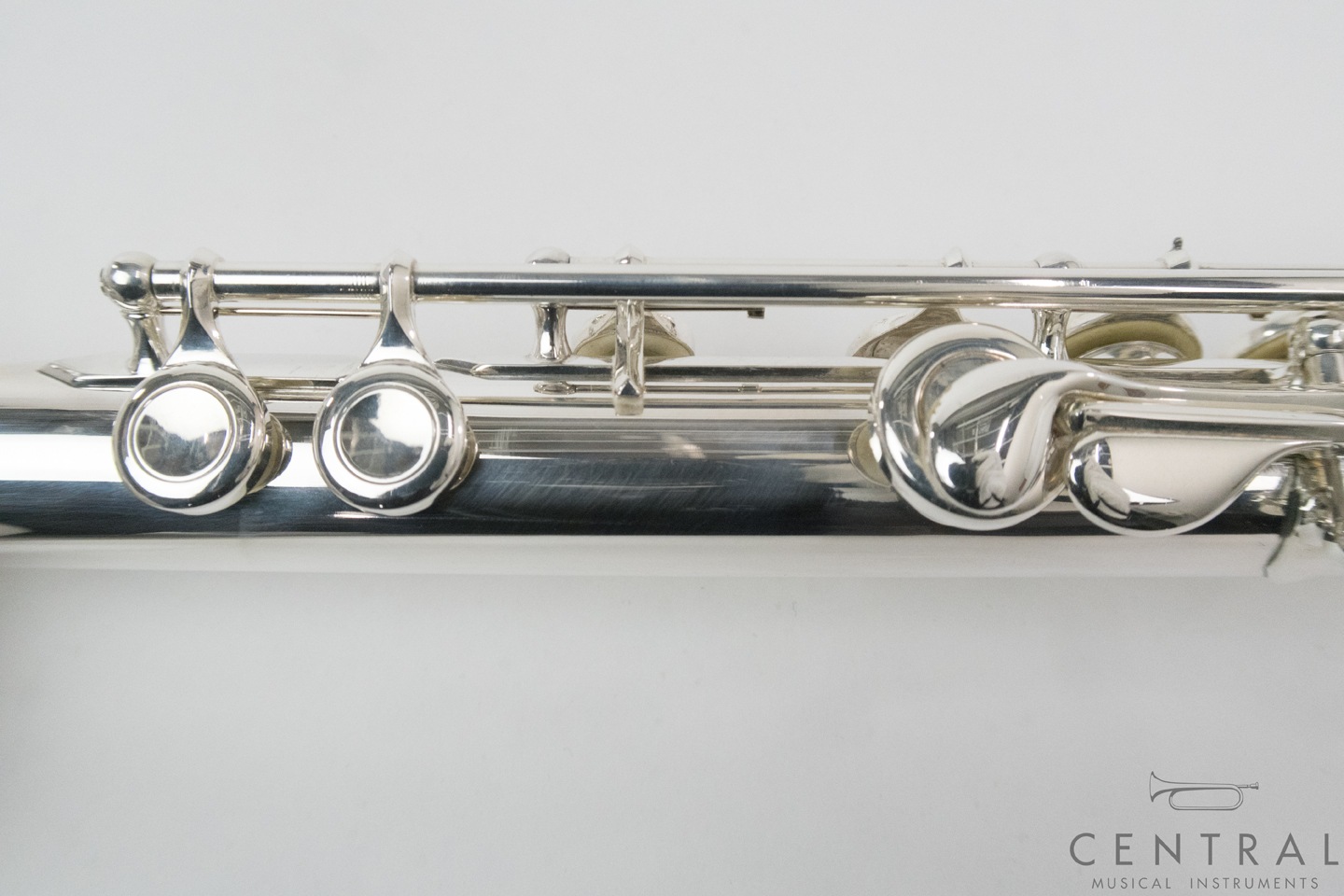 ��� �ե롼�� V.Q�ѥ����� ������ ���ޡ�������ǥ�