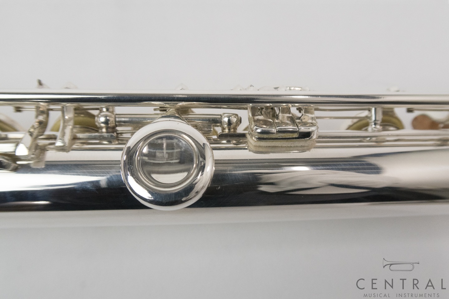 ��� �ե롼�� V.Q�ѥ����� ������ ���ޡ�������ǥ�