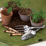 �����ǥ˥󥰥��å�