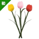 �ڴ��ָ���ۥ��塼��åפΥ쥷��