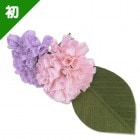 �ڴ��ָ���쥷�ԡۤ�������