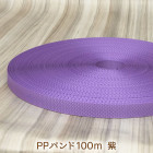��PP�Х�ɡۻ�100m