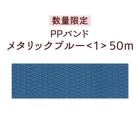 �ڿ��̸��ꡦPP�Х�ɡۥ᥿��å��֥롼��1��50m