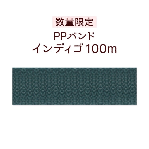 �ڿ��̸��ꡦPP�Х�ɡۥ���ǥ���100m