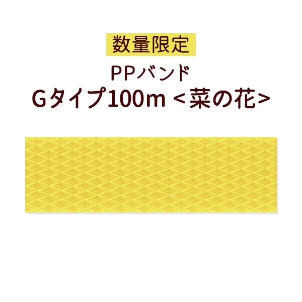 ο̸ꡦPPХɡG100mڤβ֡