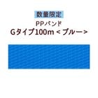 ο̸ꡦPPХɡG100m֥롼