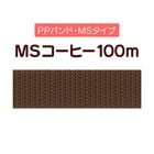 ��PP�Х�ɡ�MS�����ҡ�100m