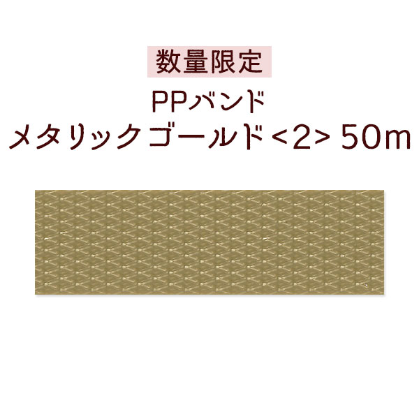 �ڿ��̸��ꡦPP�Х�ɡۥ᥿��å�������ɡ�2��50m