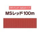 ��PP�Х�ɡ�MS��å�100m